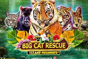 Big Cat Rescue Megaways